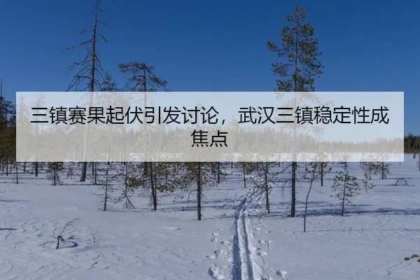 三镇赛果起伏引发讨论，武汉三镇稳定性成焦点